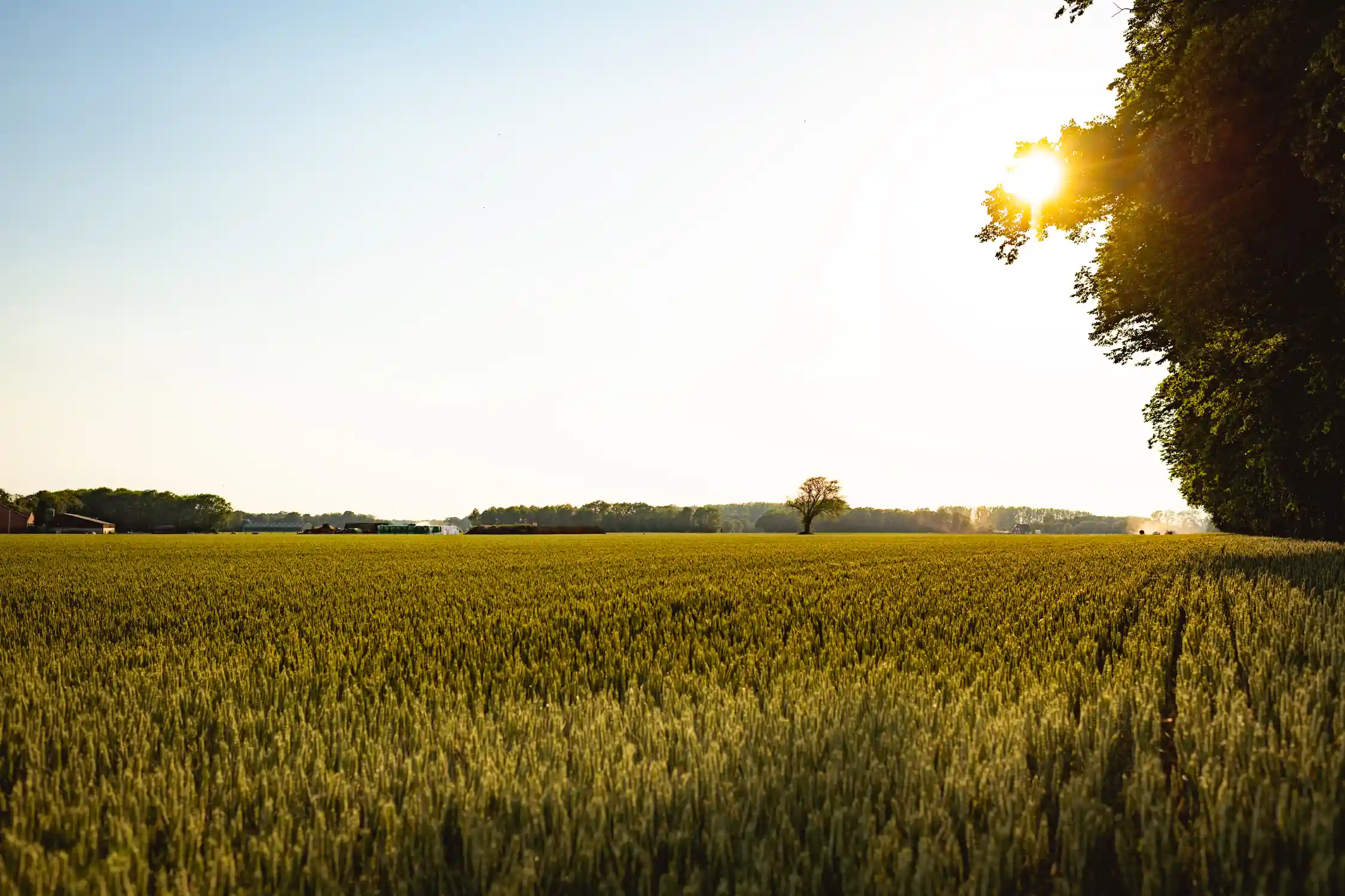 Granen Livarboerderij